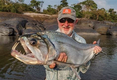 payara vampire fish|Payara .